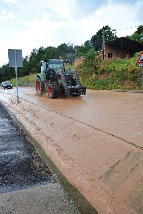La tormenta de granizo de Murillo causó graves daños.