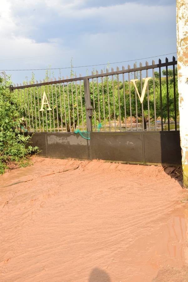 La tormenta de granizo de Murillo causó graves daños.