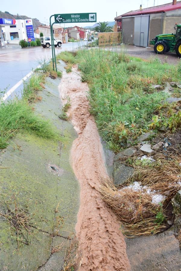 La tormenta de granizo de Murillo causó graves daños.