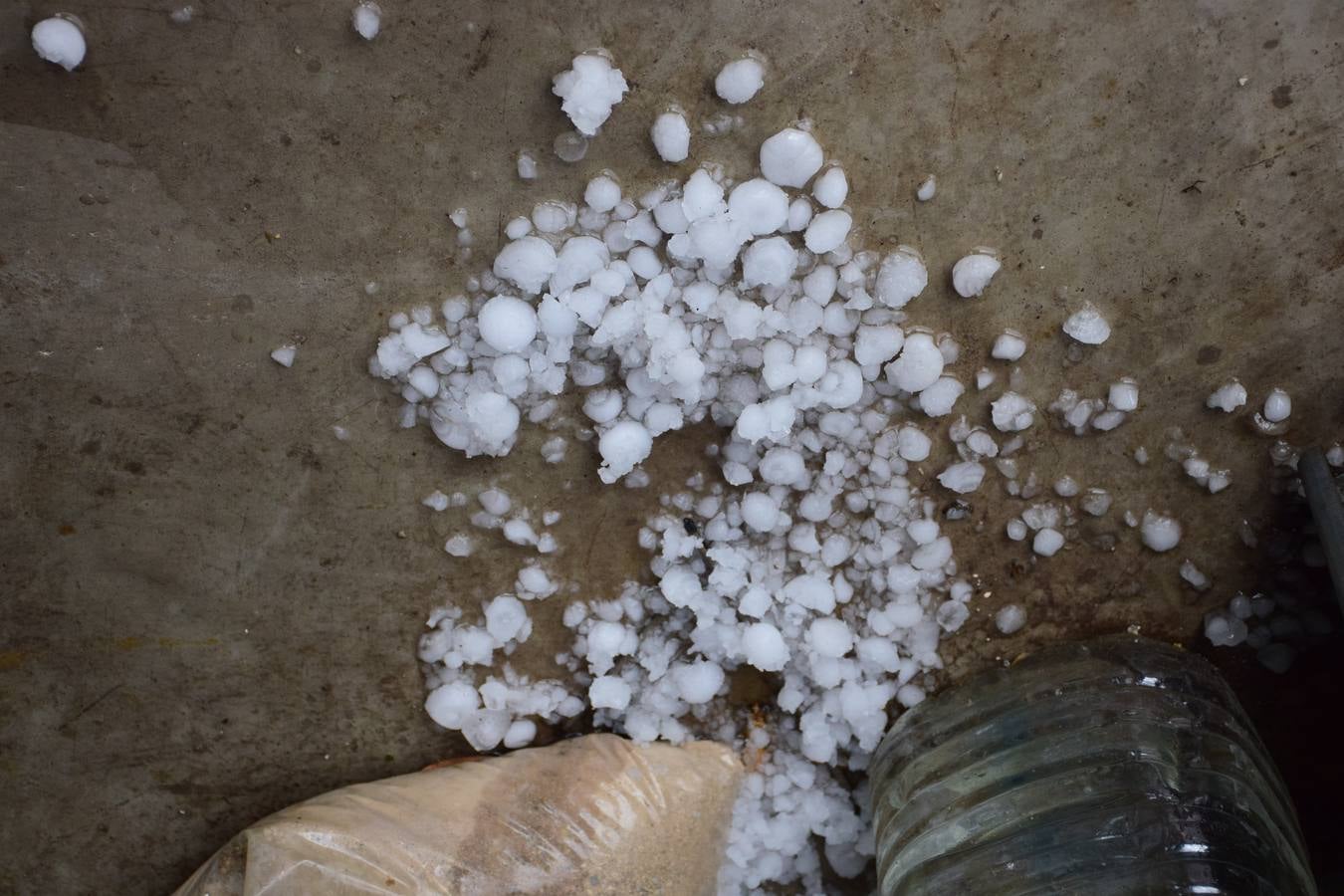La tormenta de granizo de Murillo causó graves daños.