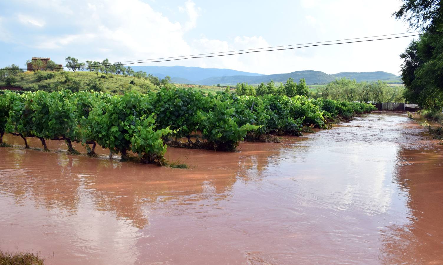 La tormenta anegó campos y calles en Navarrete.