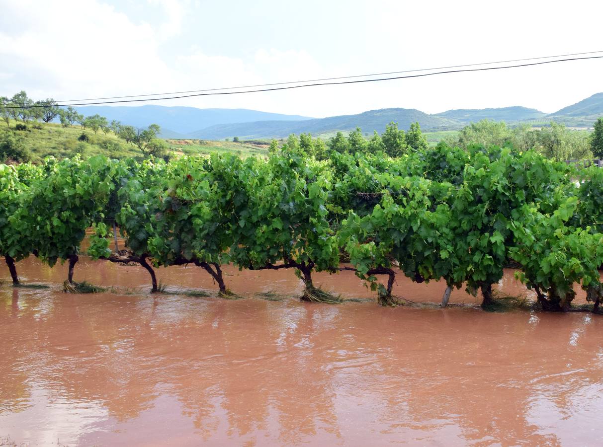 La tormenta anegó campos y calles en Navarrete.