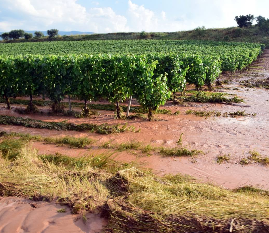 La tormenta anegó campos y calles en Navarrete.