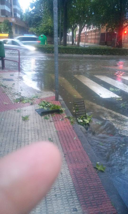 Nuestros lectores nos han enviado decenas de imágenes de los destrozos de la tormenta del domingo en Logroño.