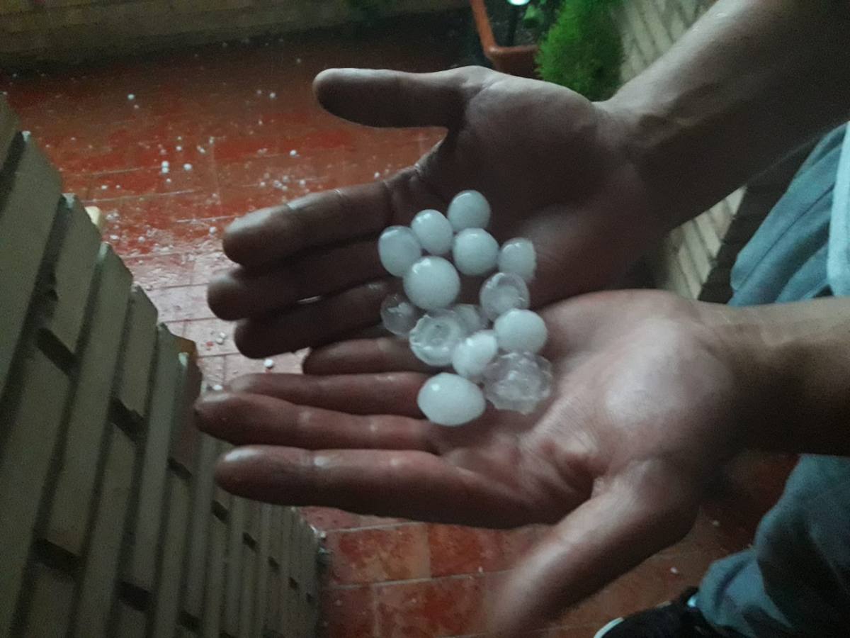 Nuestros lectores nos han enviado decenas de imágenes de los destrozos de la tormenta del domingo en Logroño.