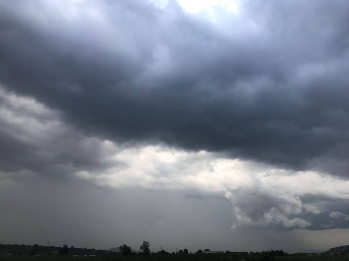 Nuestros lectores nos han enviado decenas de imágenes de los destrozos de la tormenta del domingo en Logroño.