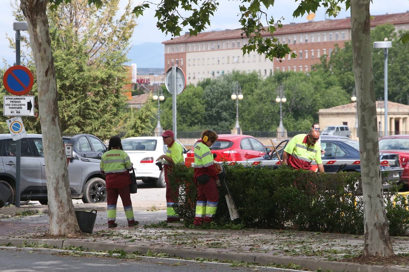 Árboles derrumbados y las calles llenas de maleza