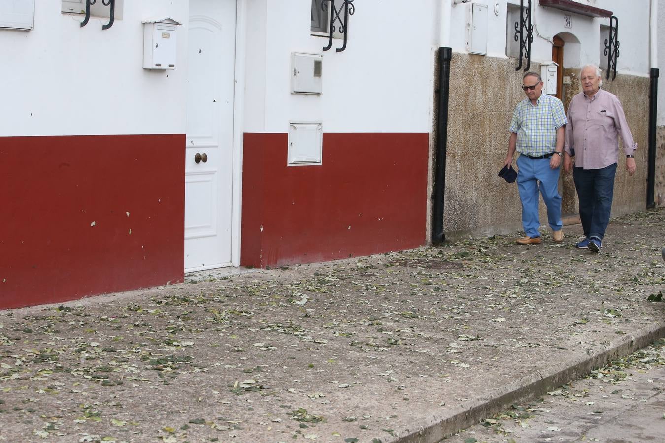 Árboles derrumbados y las calles llenas de maleza