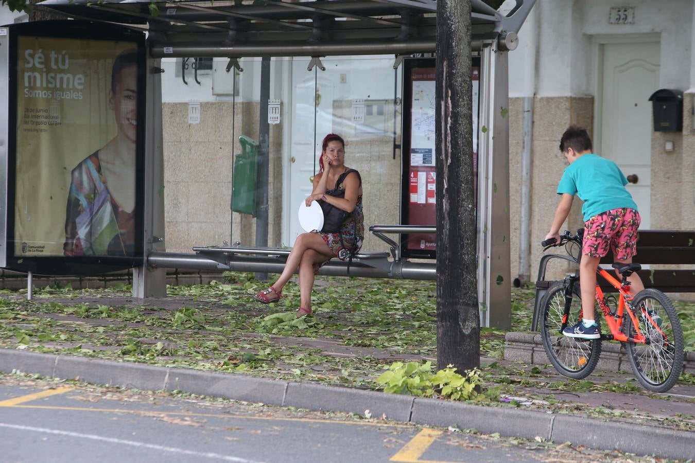 Árboles derrumbados y las calles llenas de maleza