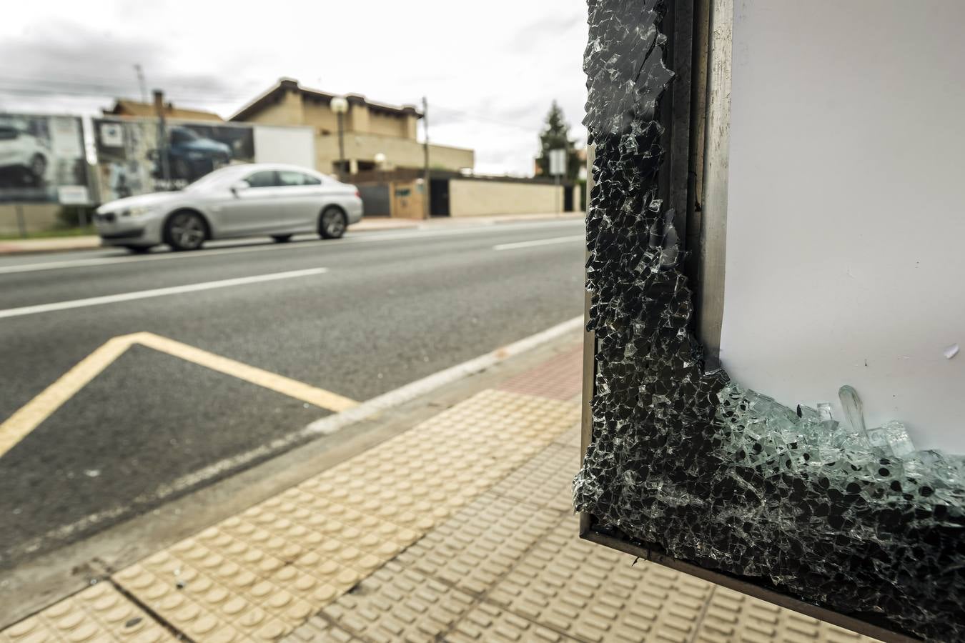 Decenas de marquesinas de Logroño han amanecido esta mañana con los cristales rotos, en lo que parece ser un acto vandálico que se ha repetido por casi toda la ciudad entre la 1 y las 5 de la madrugada. 