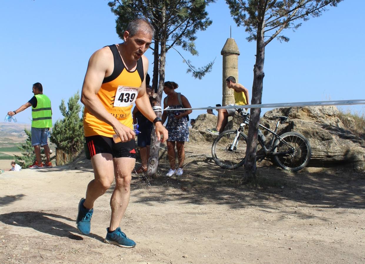 380 corredores han participado hoy en esta carrera celebrada Cuzcurrita del Río Tirón.