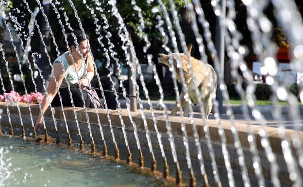 Una mujer y su perro se refrescan en una fuente pública.