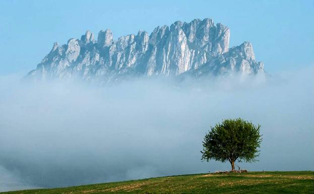 Una de las imágenes de un paisaje de la exposición. 