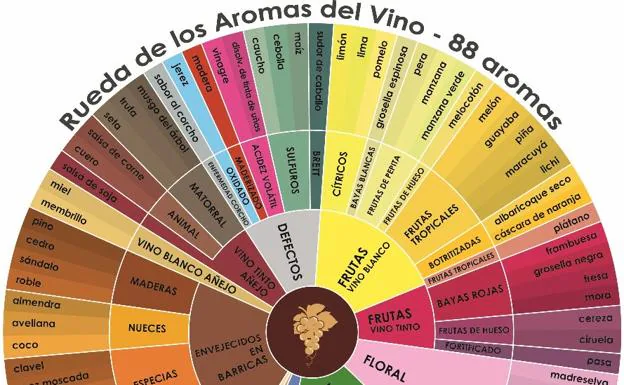 ¿Qué es la rueda de aromas?