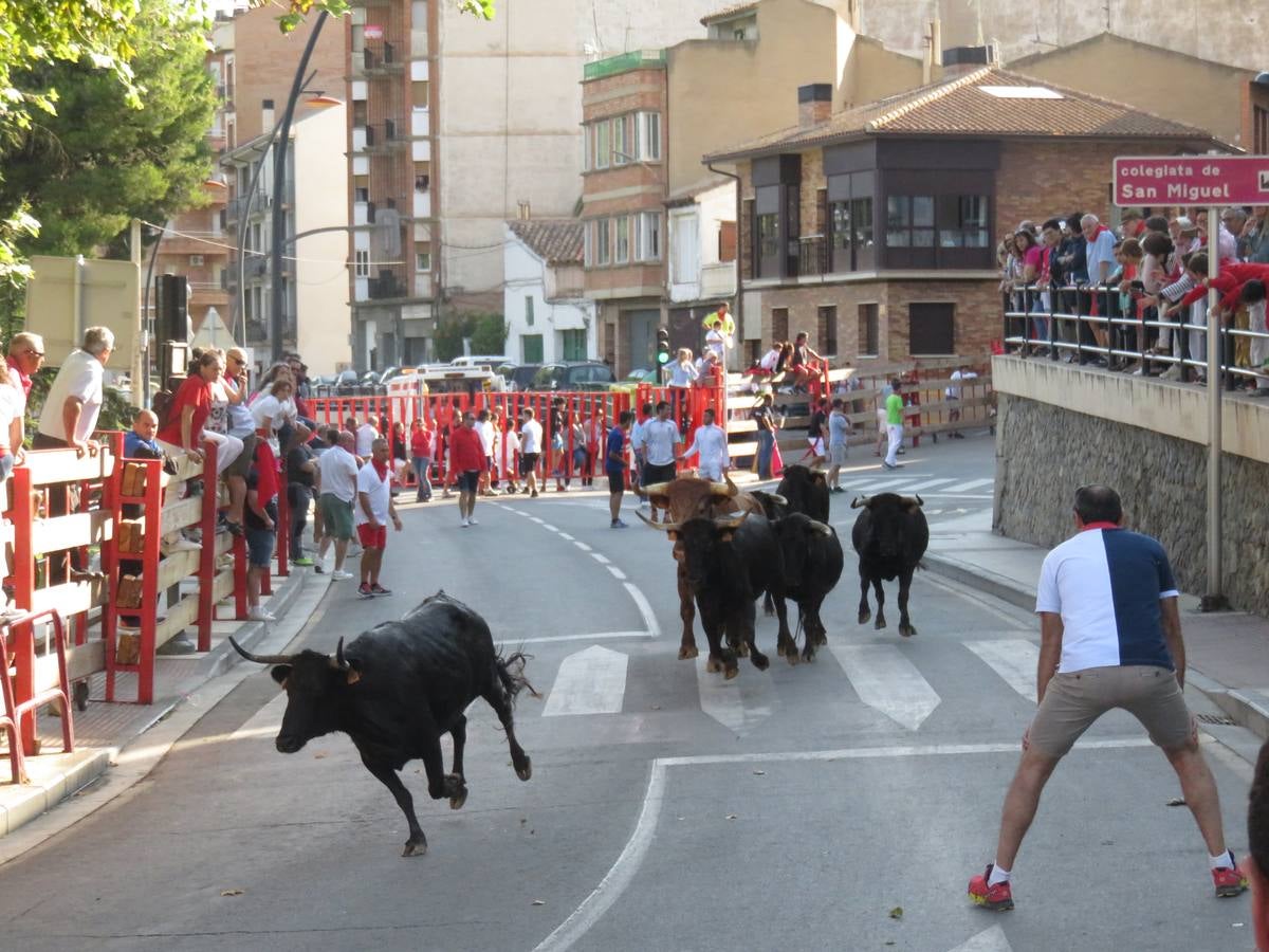 Este viernes ha sido el día dedicados a los mayores en las fiestas patronales de Alfaro