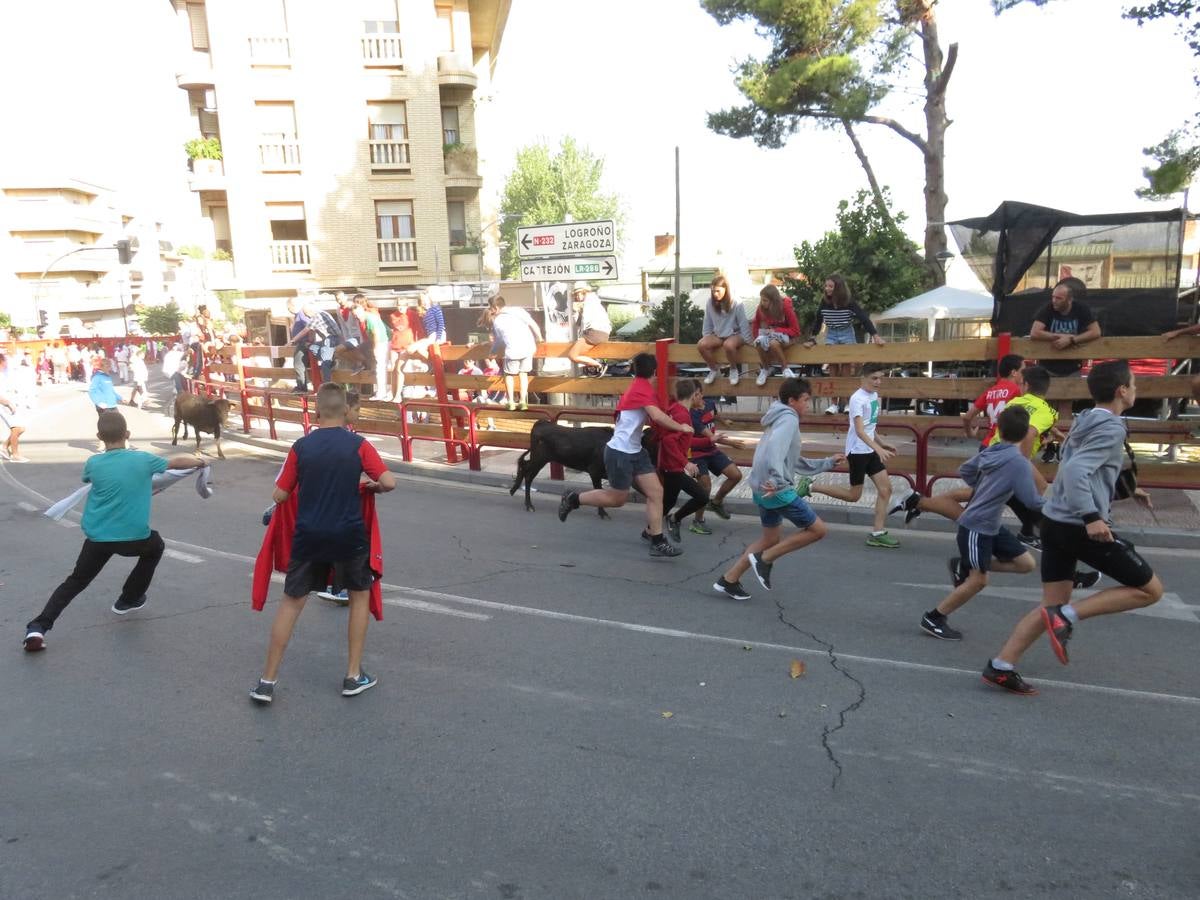 Este viernes ha sido el día dedicados a los mayores en las fiestas patronales de Alfaro