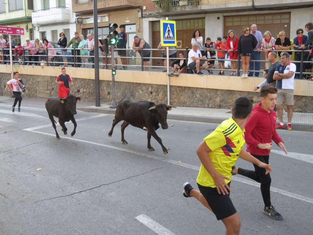 Este viernes ha sido el día dedicados a los mayores en las fiestas patronales de Alfaro