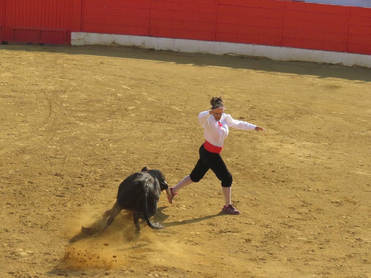 Este viernes ha sido el día dedicados a los mayores en las fiestas patronales de Alfaro