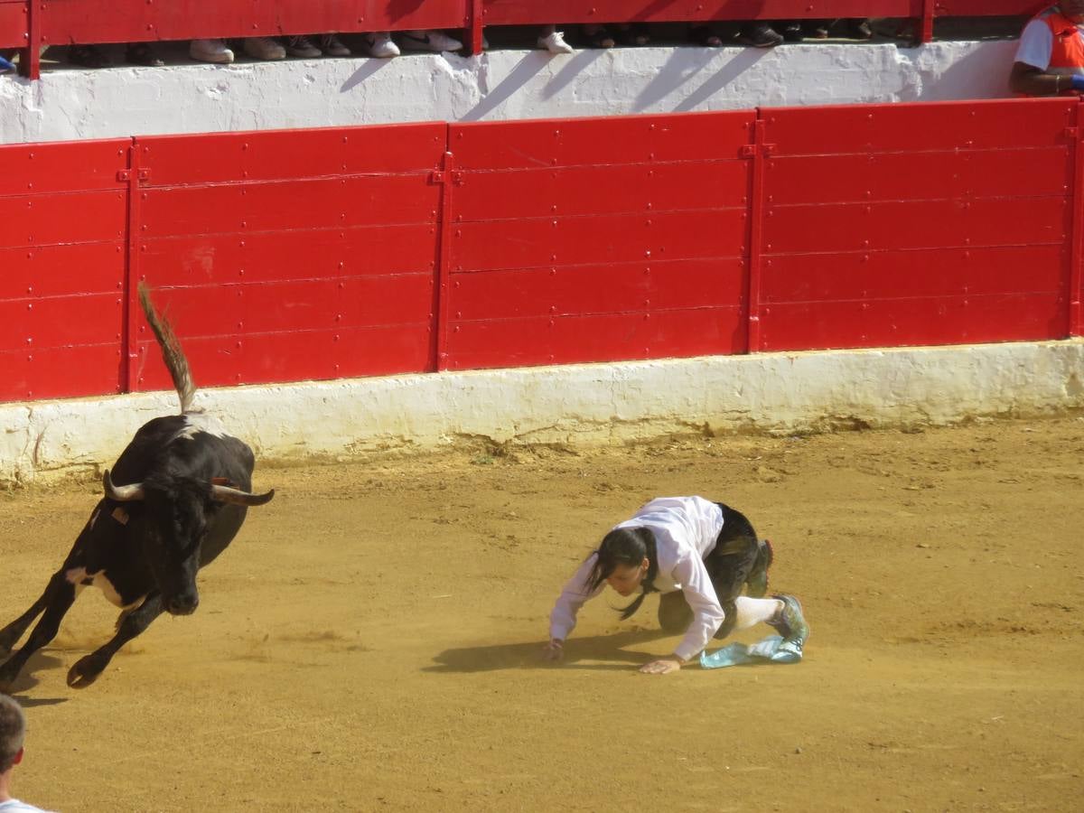 Este viernes ha sido el día dedicados a los mayores en las fiestas patronales de Alfaro