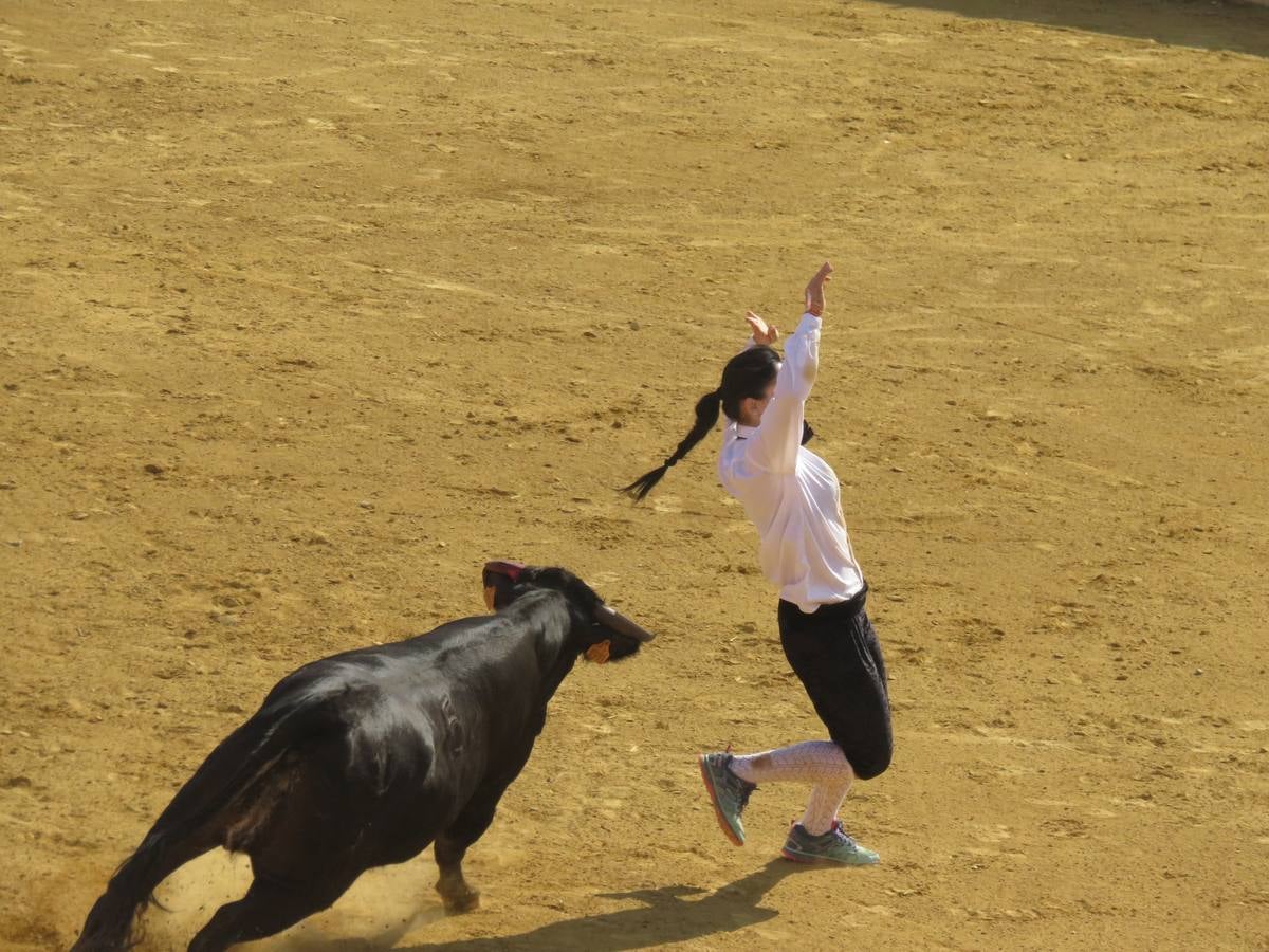 Este viernes ha sido el día dedicados a los mayores en las fiestas patronales de Alfaro