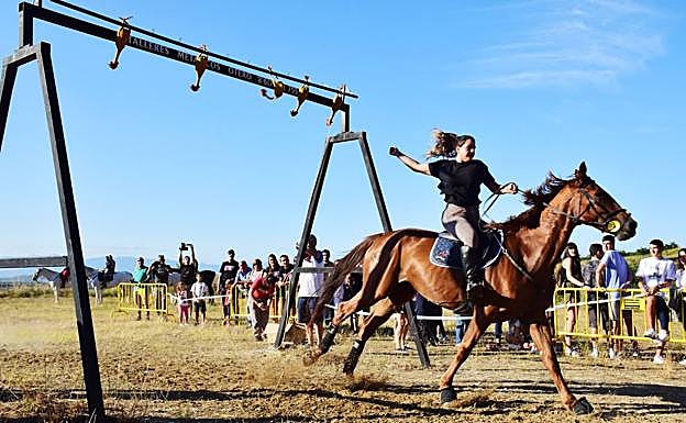 Nalda corre sus gallos en femenino