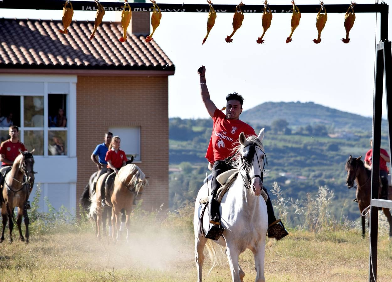 Las imágenes de la tradicional carrera ecuestre del Iregua