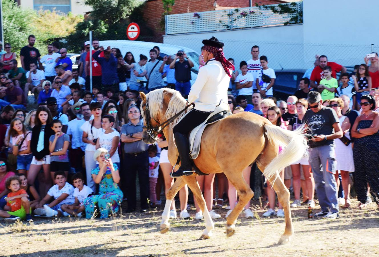 Las imágenes de la tradicional carrera ecuestre del Iregua