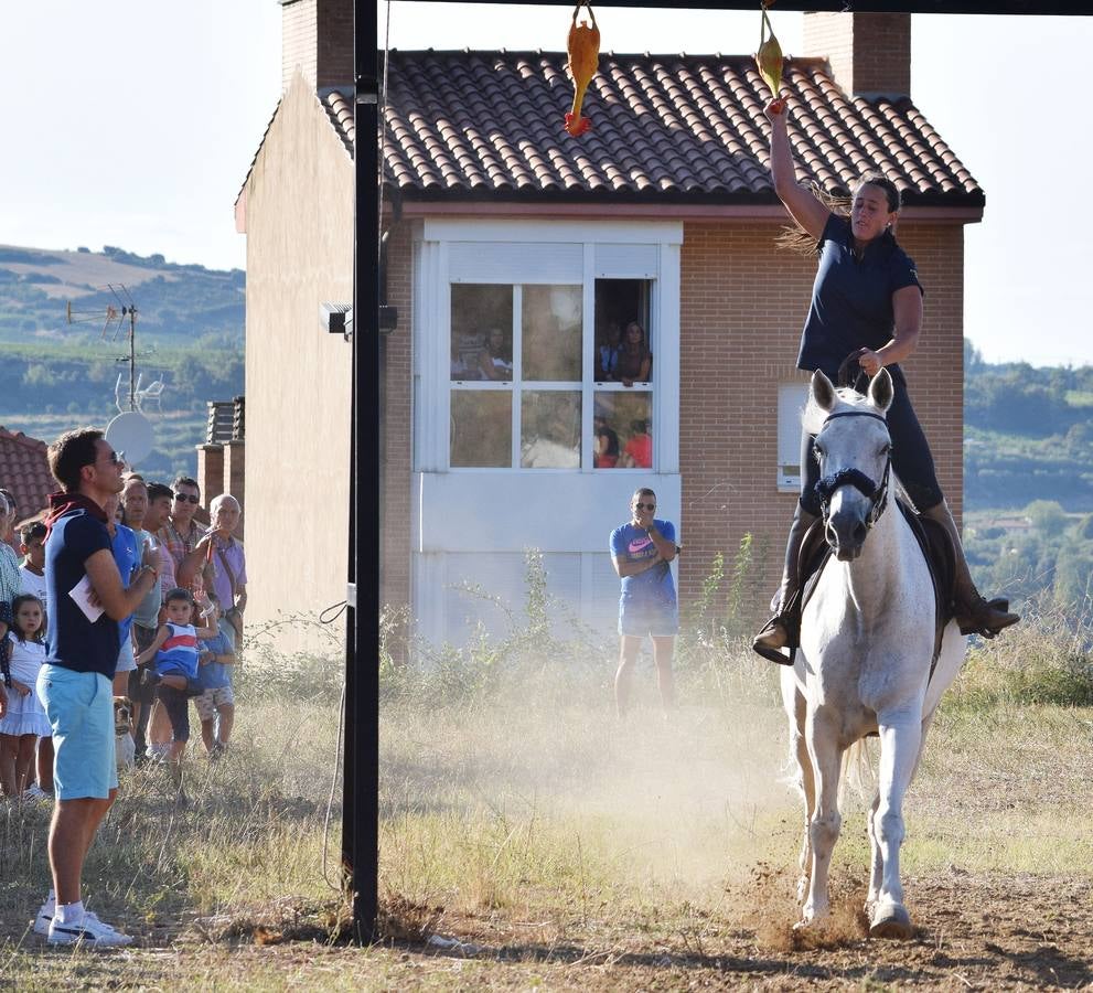 Las imágenes de la tradicional carrera ecuestre del Iregua