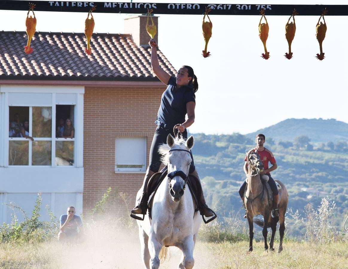 Las imágenes de la tradicional carrera ecuestre del Iregua