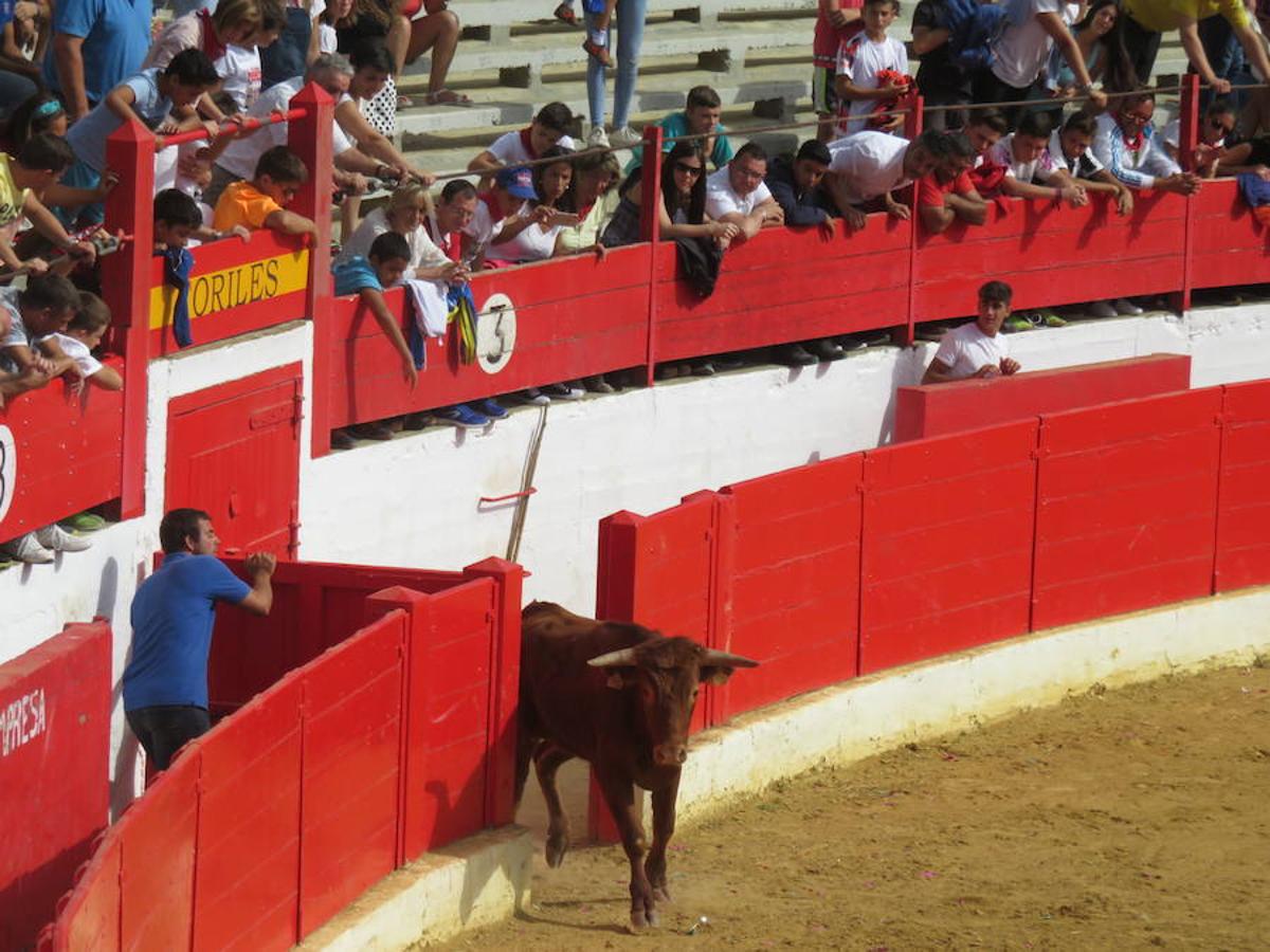 Un centenar de alfareñas participó en la comida y en los actos organizados para el día de la mujer de las fiestas