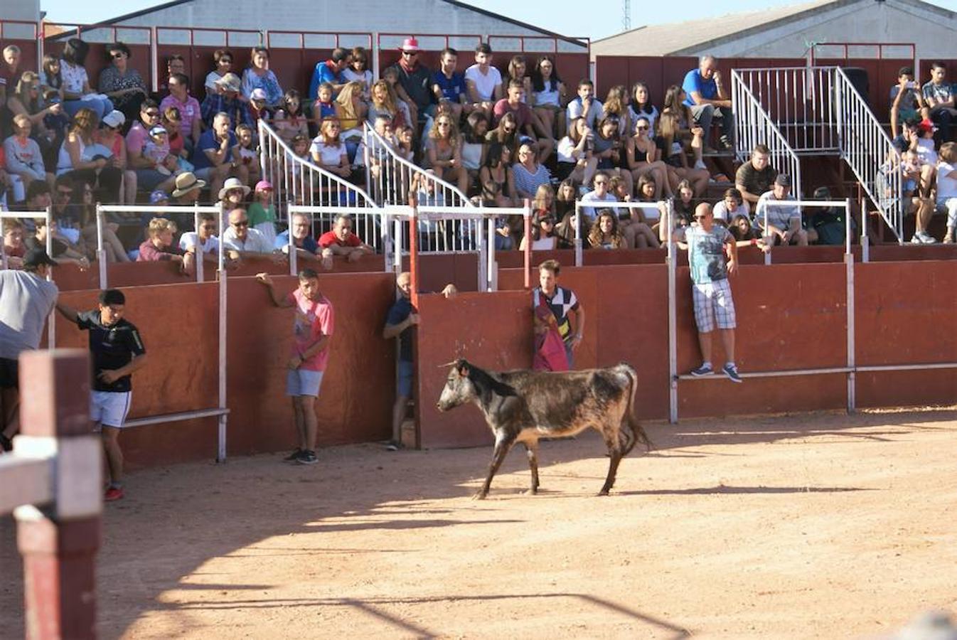 Fotos: Víspera del gran día de Uruñuela