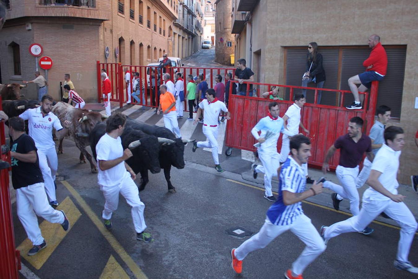 Unos 600 jóvenes compartieron la comida popular y fiesta pinchadiscos en el penúltimo día de fiestas de Alfaro