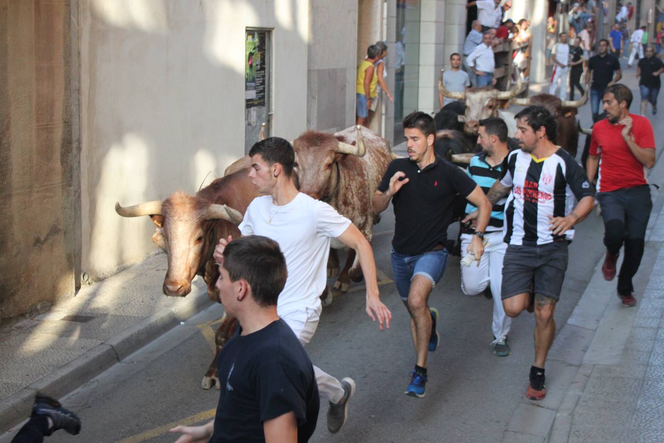 Un encierro de toros, degustación y boleros cerraron las fiestas alfareñas 