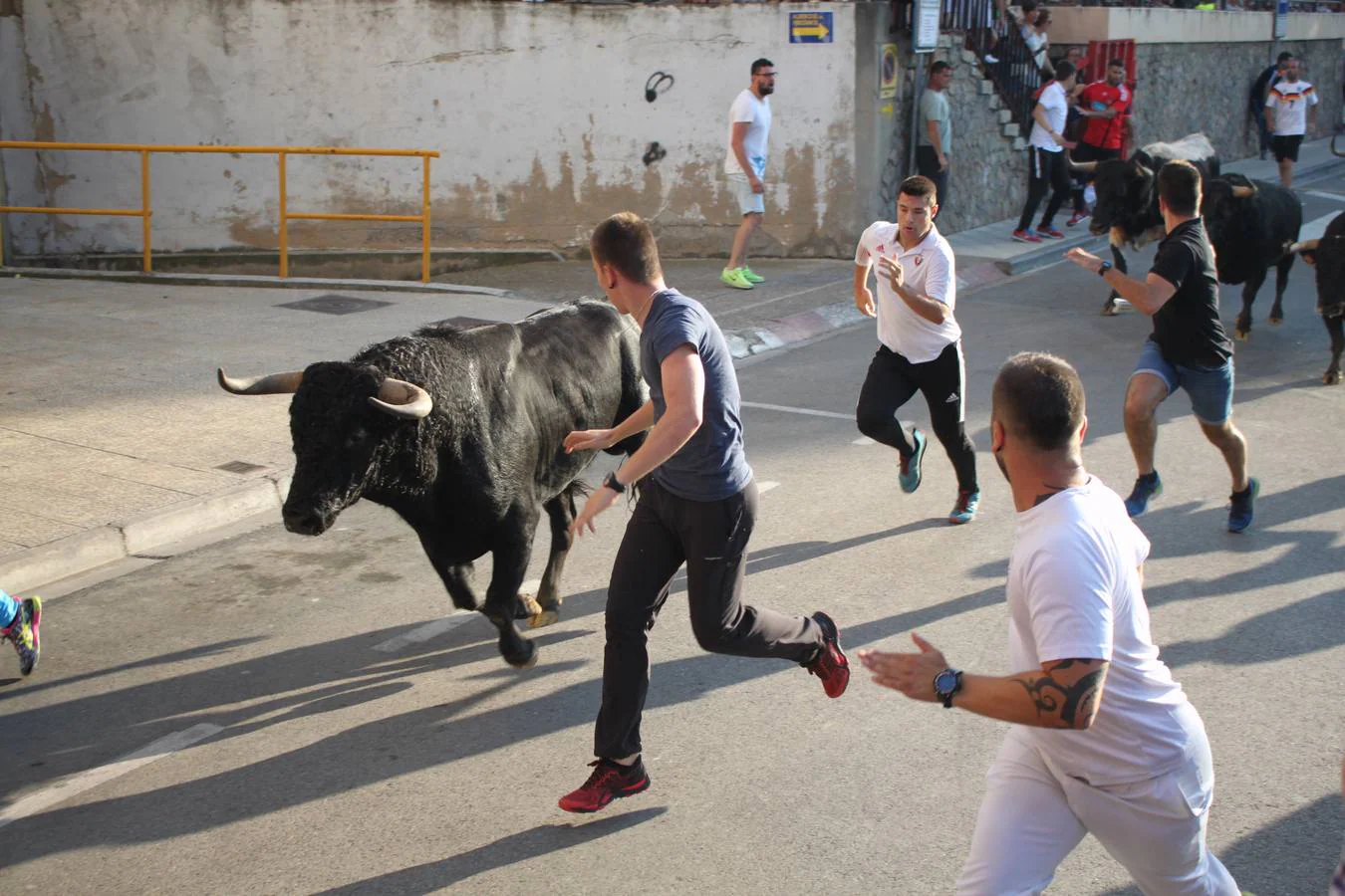 Un encierro de toros, degustación y boleros cerraron las fiestas alfareñas 