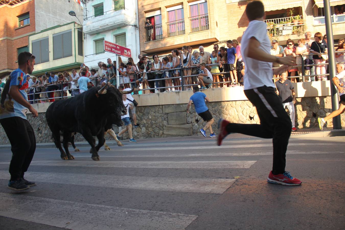 Un encierro de toros, degustación y boleros cerraron las fiestas alfareñas 