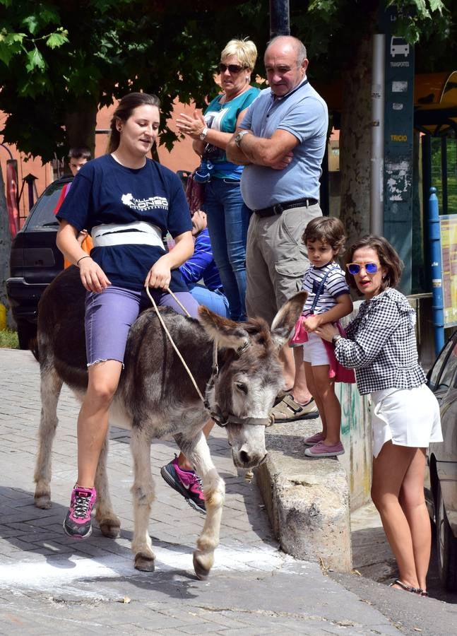 Fotos: Carrera de Burros de Tricio