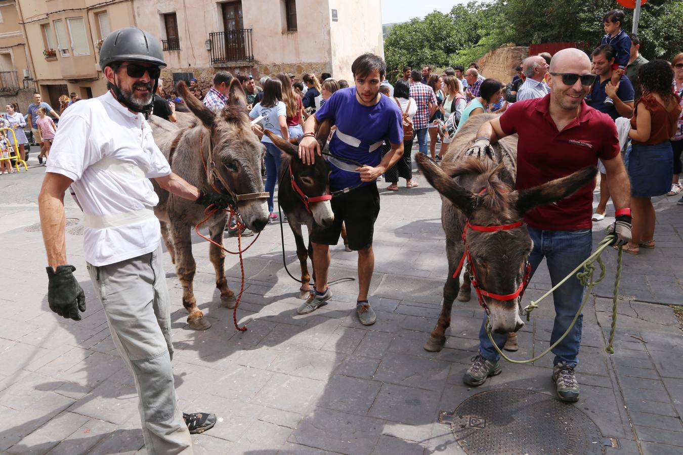 Fotos: Carrera de Burros de Tricio