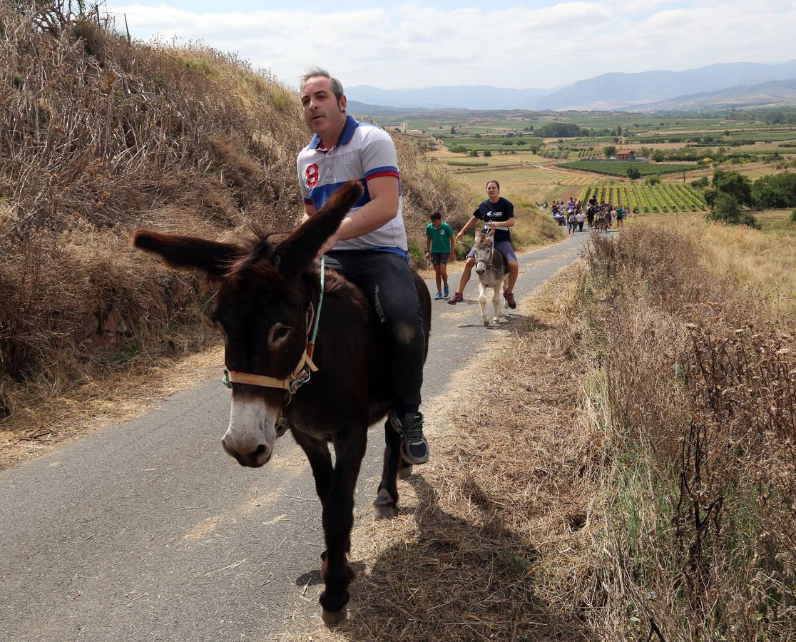 Fotos: Carrera de Burros de Tricio