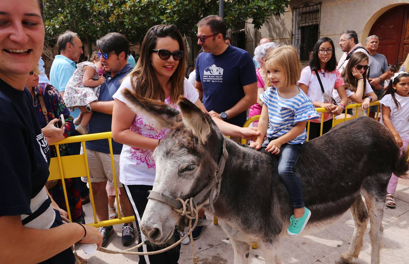 Fotos: Carrera de Burros de Tricio