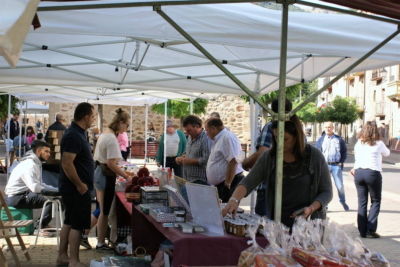 Fotos: Feria de ganado de las siete villas en Viniegra de Abajo