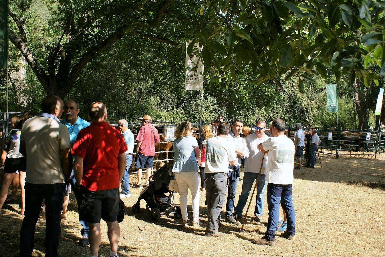 Fotos: Feria de ganado de las siete villas en Viniegra de Abajo