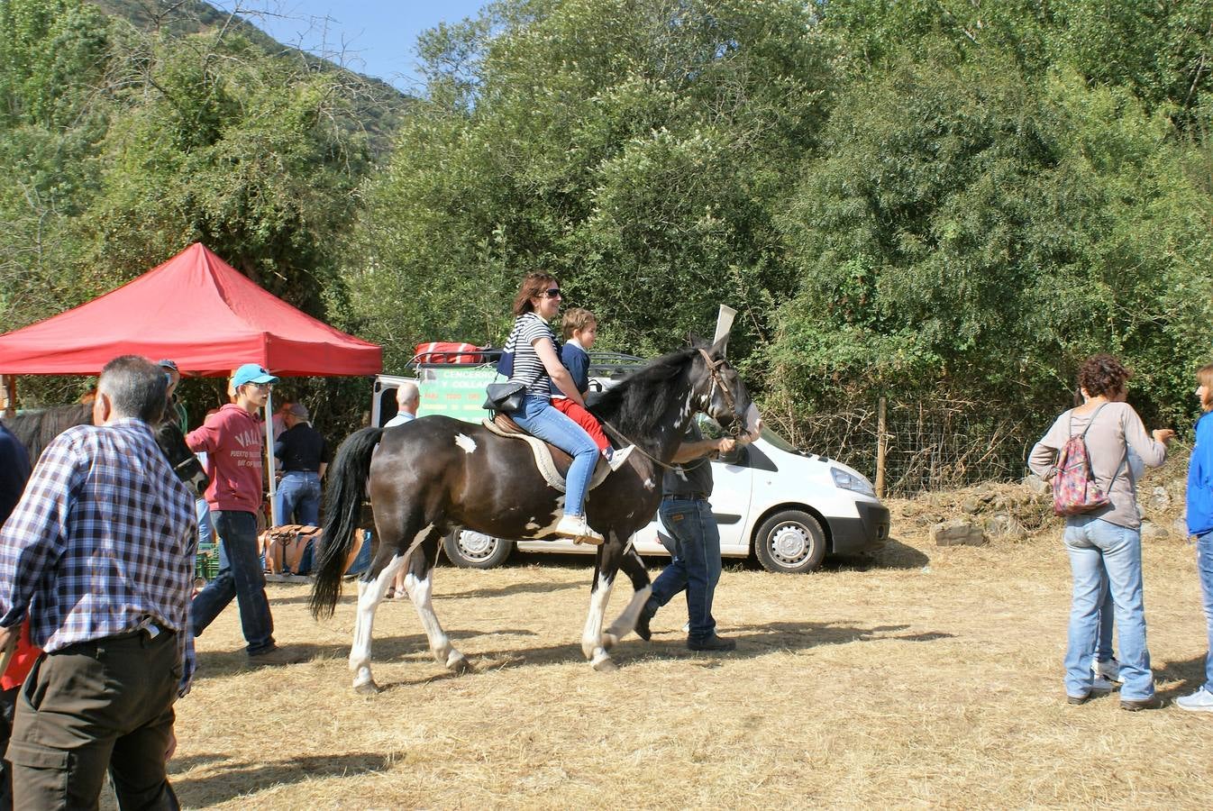 Fotos: Feria de ganado de las siete villas en Viniegra de Abajo