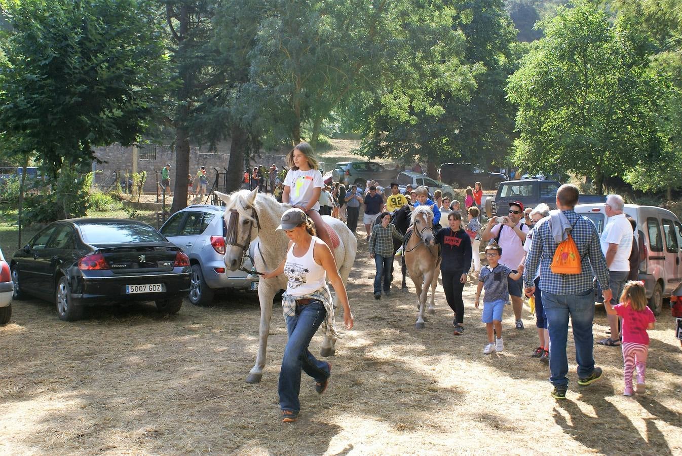 Fotos: Feria de ganado de las siete villas en Viniegra de Abajo