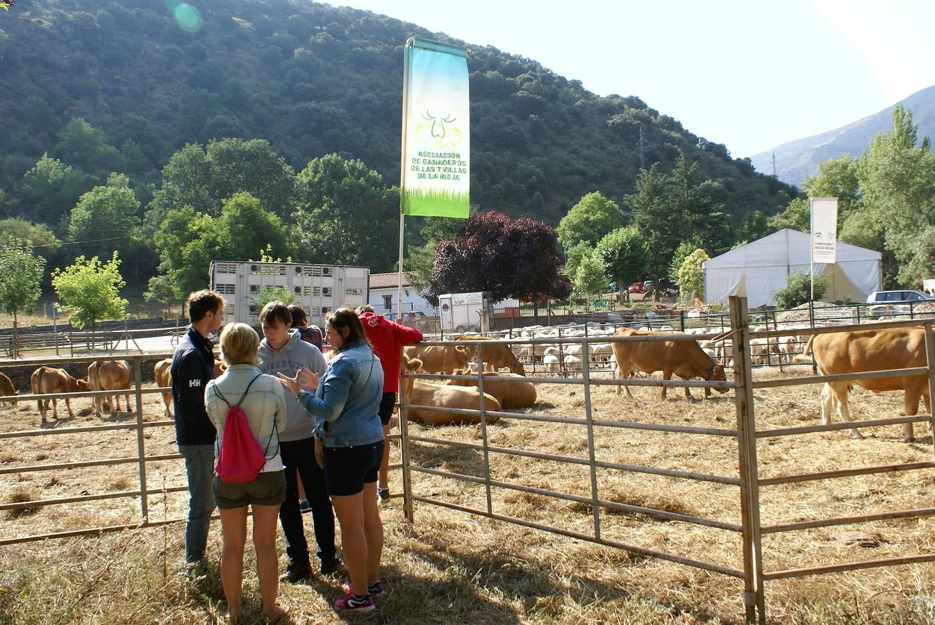 Fotos: Feria de ganado de las siete villas en Viniegra de Abajo