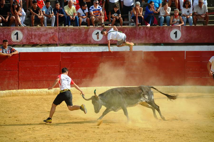 Cientos de calagurritanos se acercaron a la catedral para agasajar con ramos multicolores a los mártires calagurritanos 