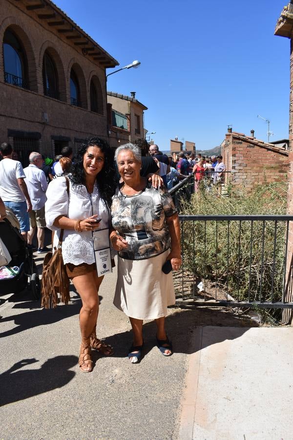 Fotos: VIII Jornada de Puertas Abiertas en el barrio de las bodegas de Alberite