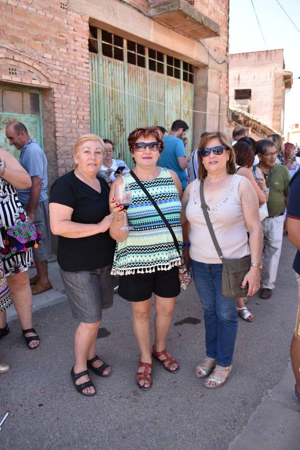 Fotos: VIII Jornada de Puertas Abiertas en el barrio de las bodegas de Alberite