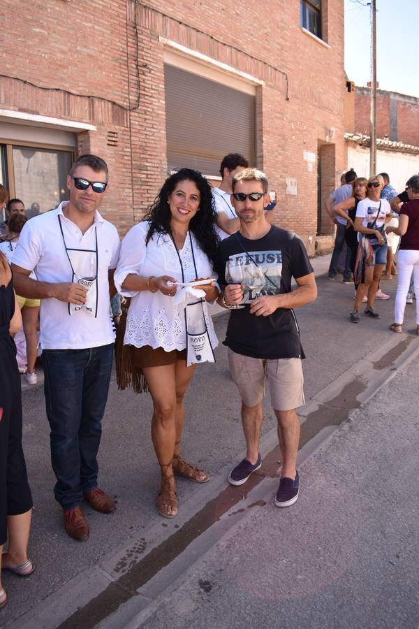 Fotos: VIII Jornada de Puertas Abiertas en el barrio de las bodegas de Alberite