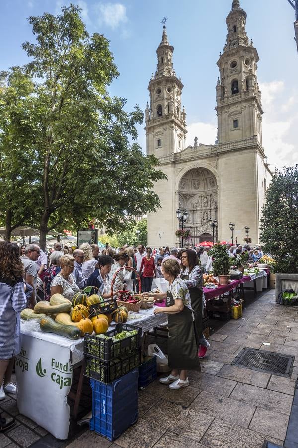 Javier Sampedro y Francisca Allo, ambos de Lardero, han ganado el 50 Concurso Agrícola de La Rioja en las categorías de frutas y hortalizas, respectivamente. Numeroso público ha disfrutado del sol radiante que ha lucido este domingo en Logroño y ha visitado los puestos instalados por 14 agricultores en la céntrica calle Portales, donde también se han podido adquirir los productos de la huerta riojana. Esta actividad, organizada por la Fundación Caja Rioja y Bankia, ha cumplido medio siglo de historia y supone una de las citas más tradicionales como prolegómeno a las fiestas de la vendimia.