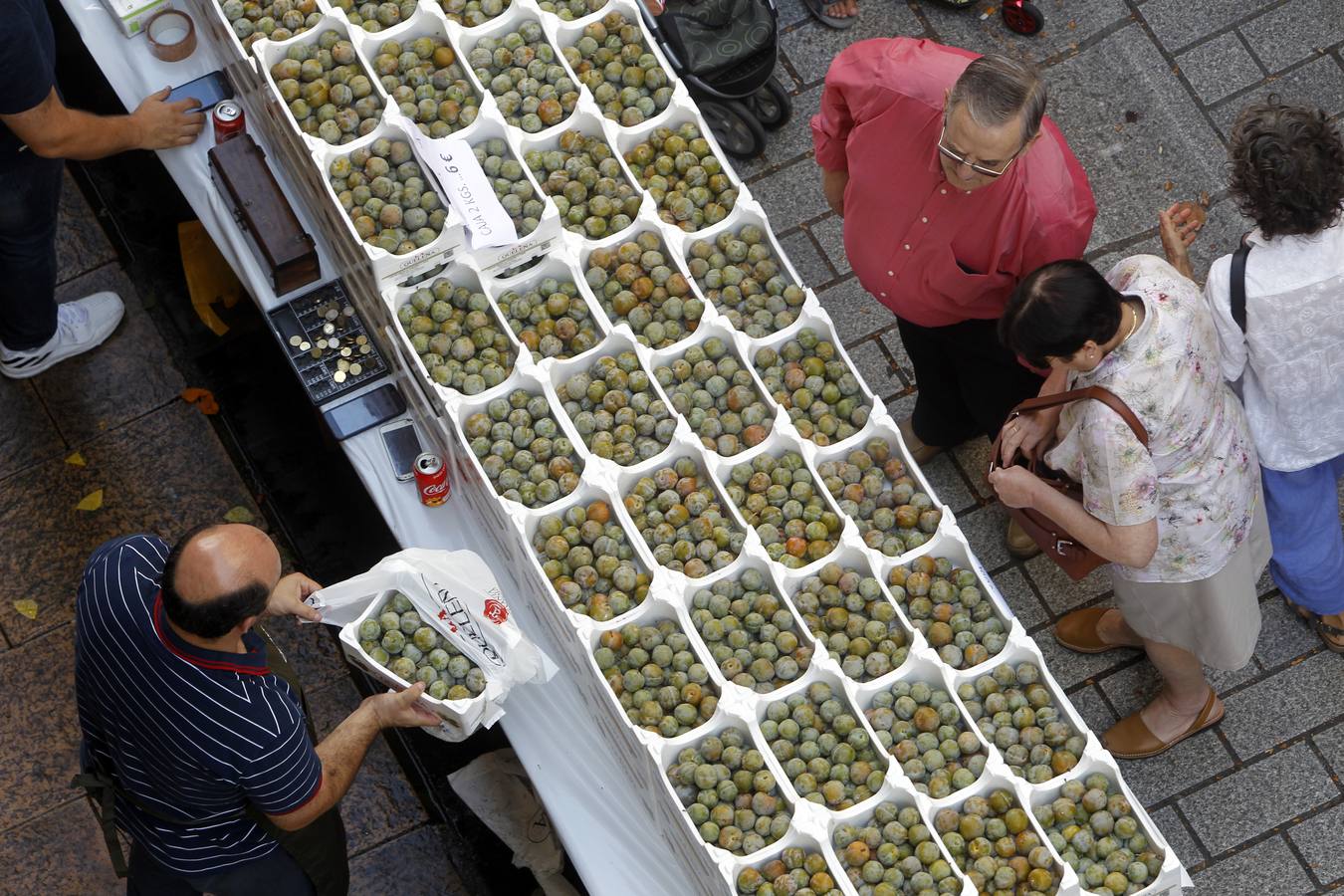 Javier Sampedro y Francisca Allo, ambos de Lardero, han ganado el 50 Concurso Agrícola de La Rioja en las categorías de frutas y hortalizas, respectivamente. Numeroso público ha disfrutado del sol radiante que ha lucido este domingo en Logroño y ha visitado los puestos instalados por 14 agricultores en la céntrica calle Portales, donde también se han podido adquirir los productos de la huerta riojana. Esta actividad, organizada por la Fundación Caja Rioja y Bankia, ha cumplido medio siglo de historia y supone una de las citas más tradicionales como prolegómeno a las fiestas de la vendimia.